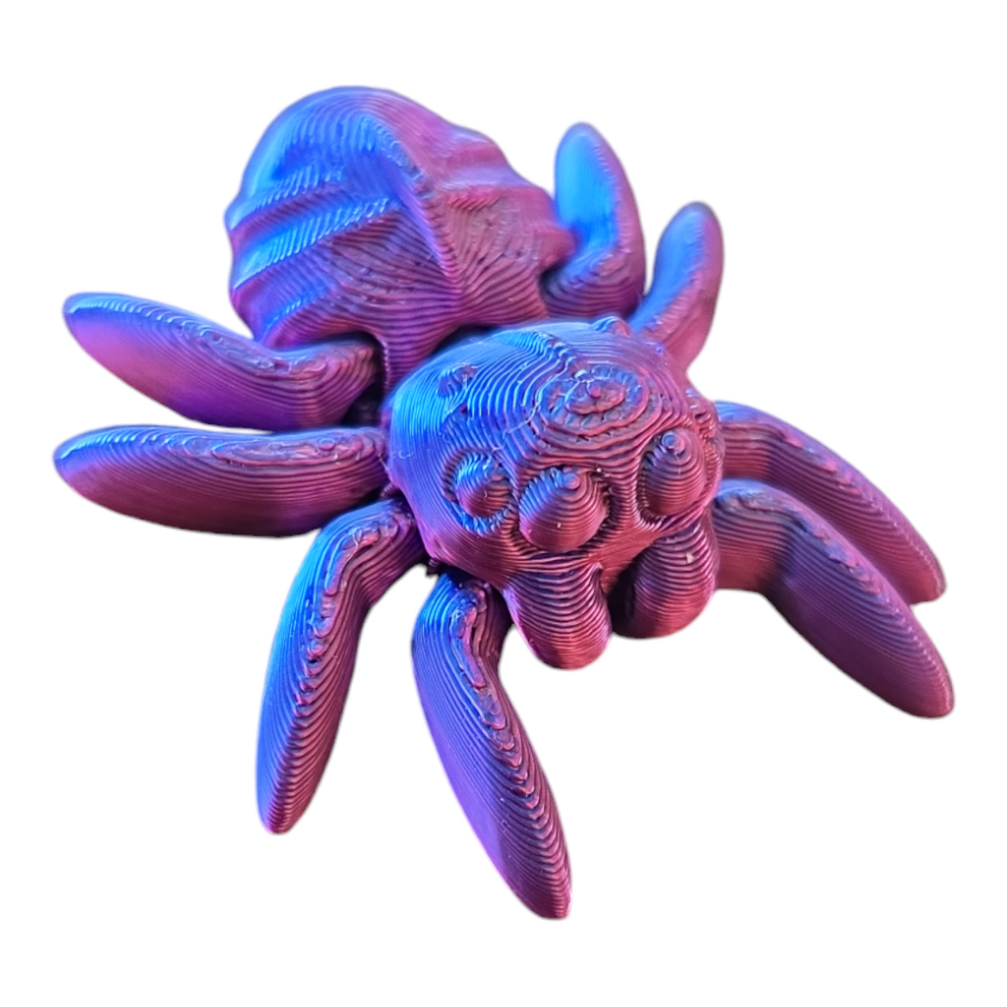 Spider Fidget Toy