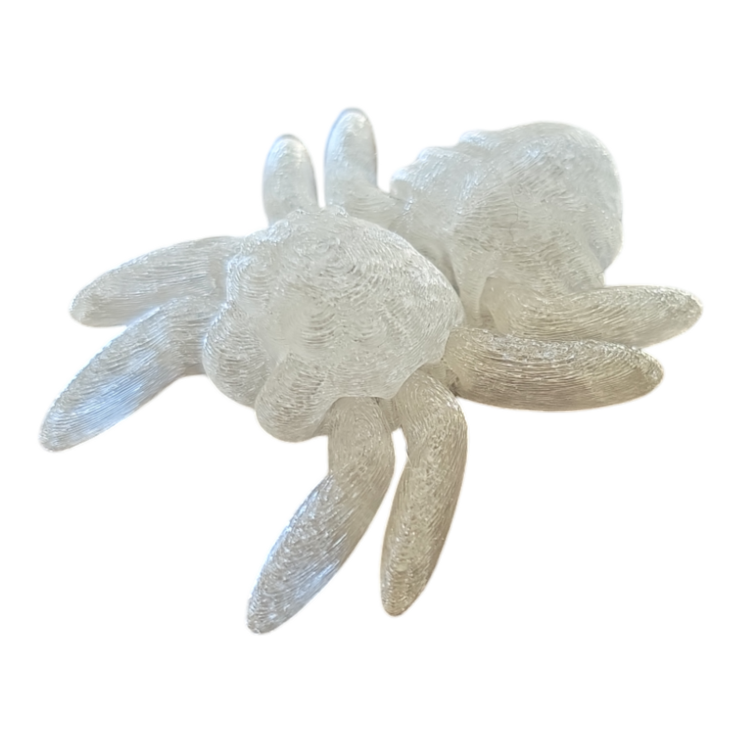 Spider Fidget Toy