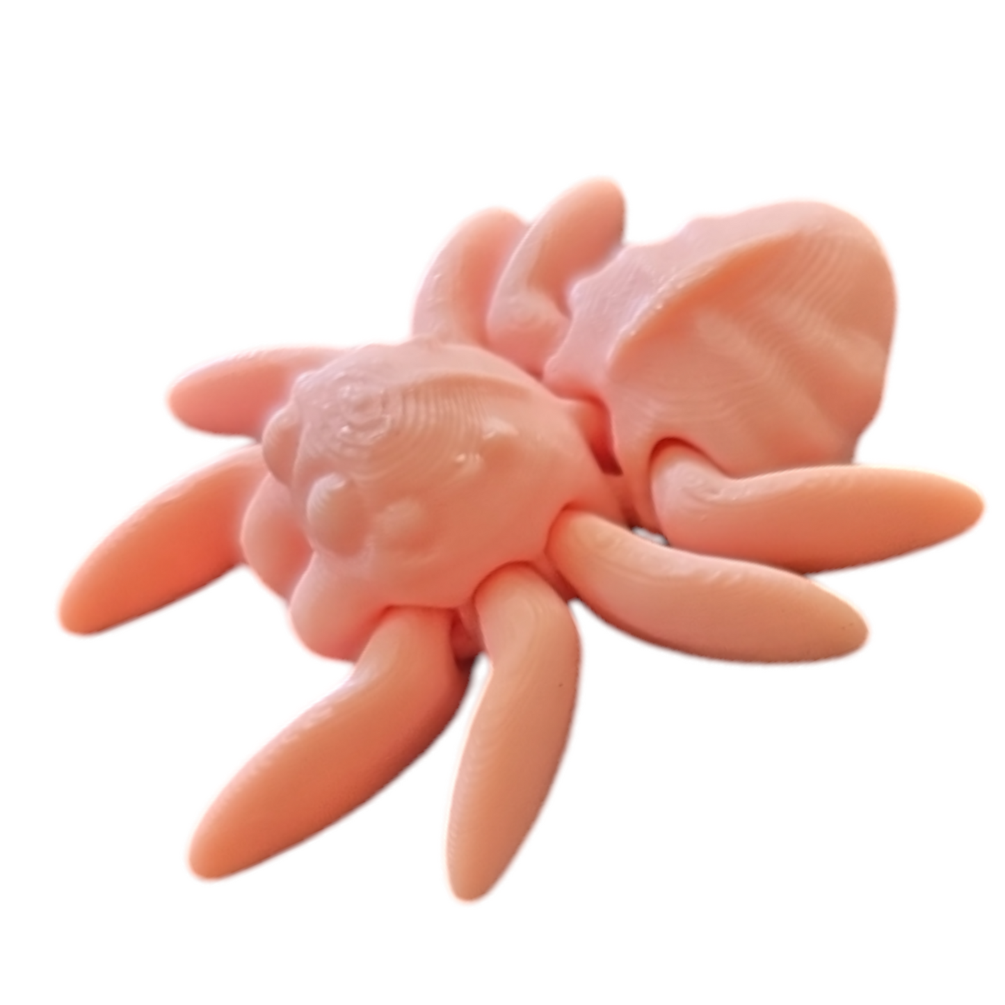 Spider Fidget Toy