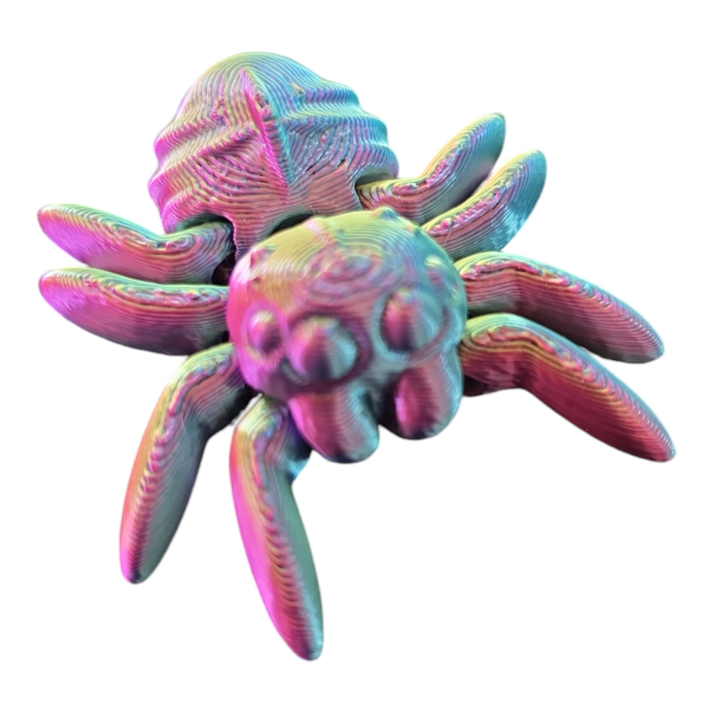 Spider Fidget Toy