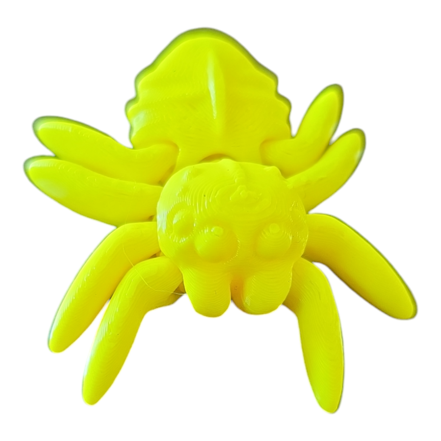 Spider Fidget Toy