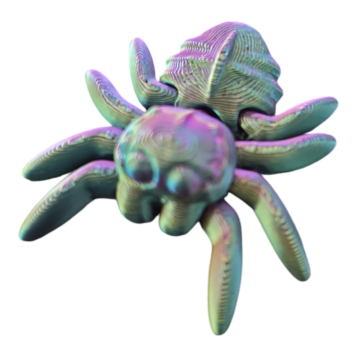 Spider Fidget Toy