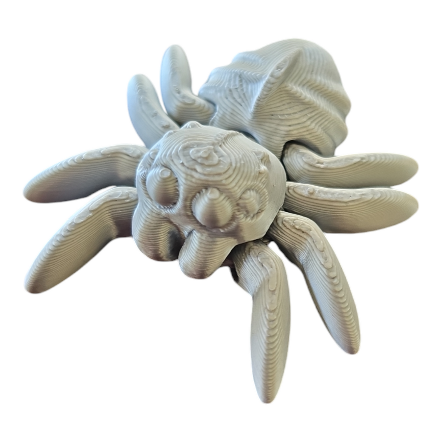Spider Fidget Toy