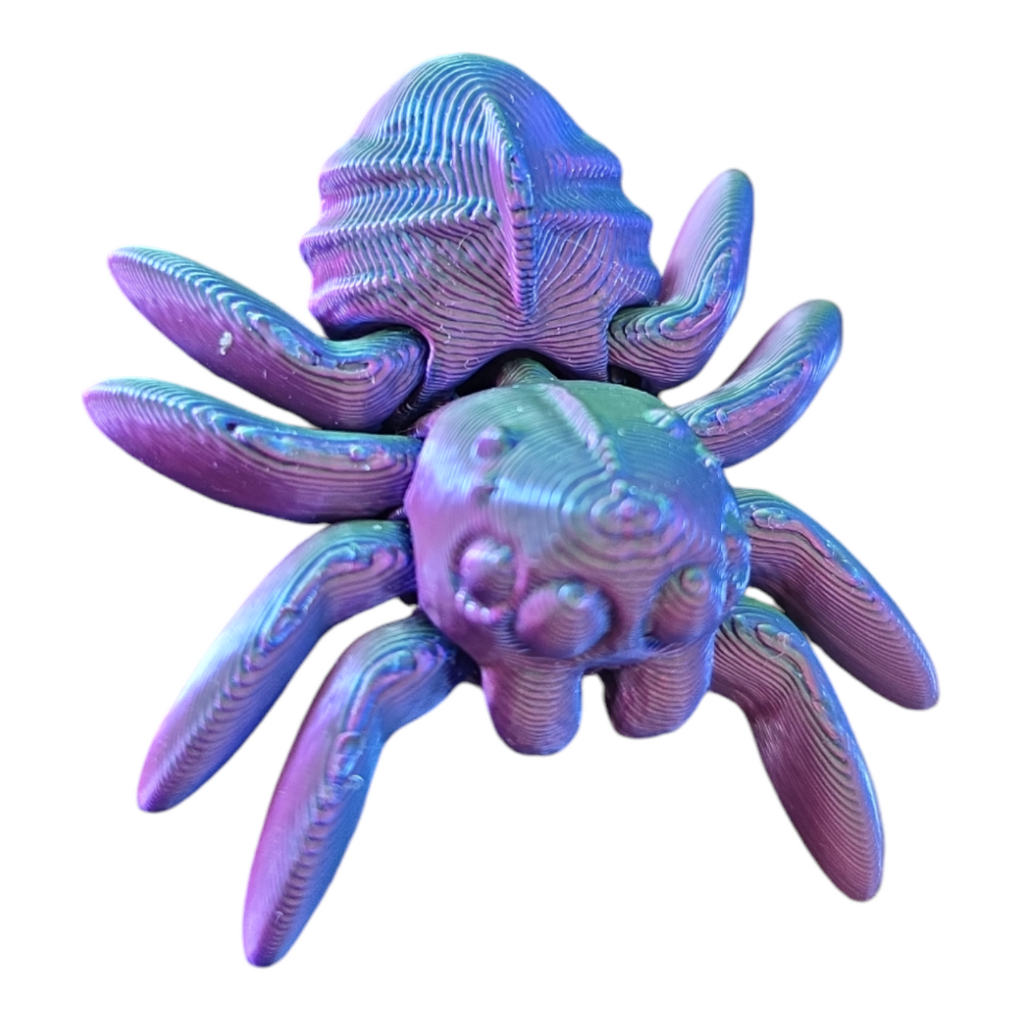 Spider Fidget Toy