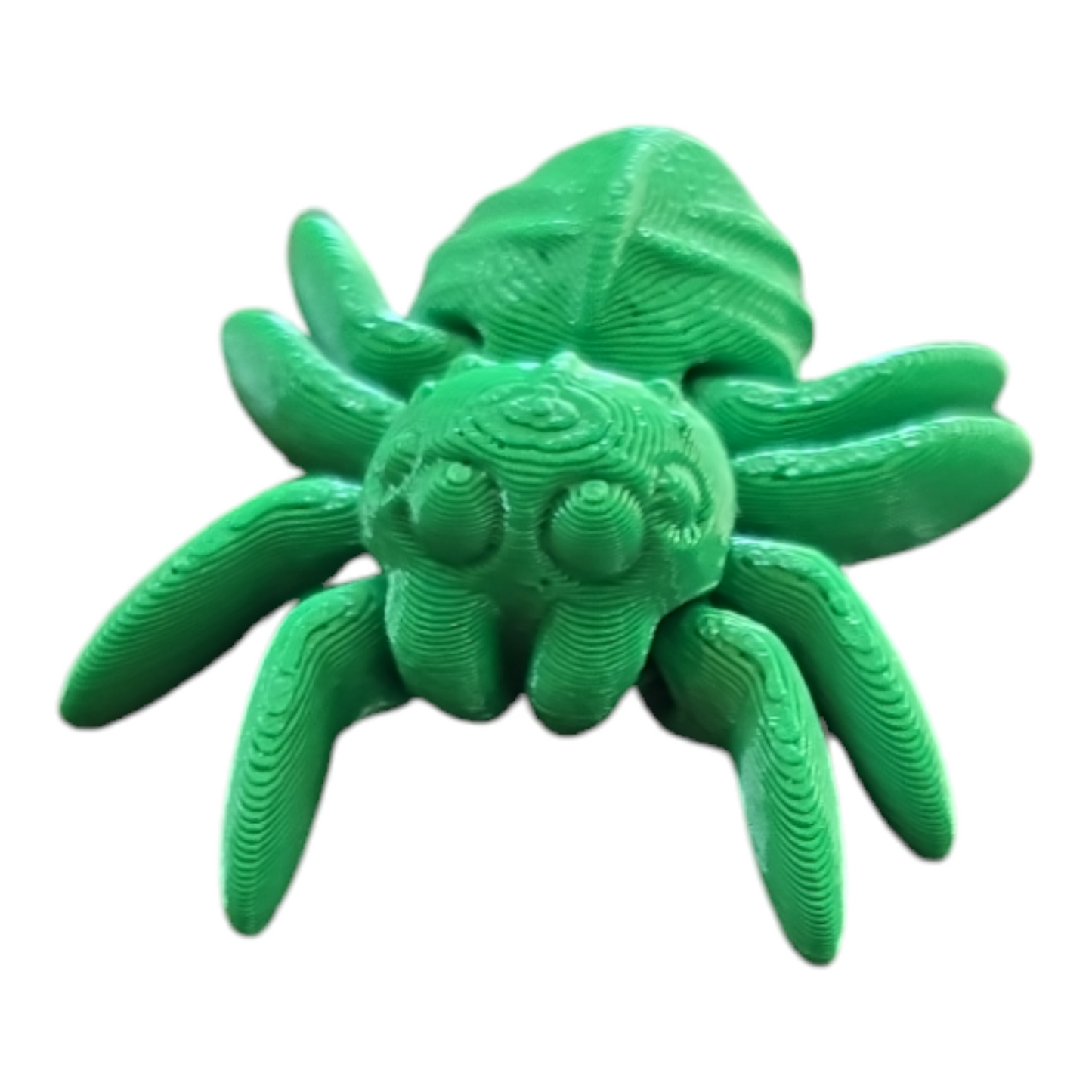 Spider Fidget Toy