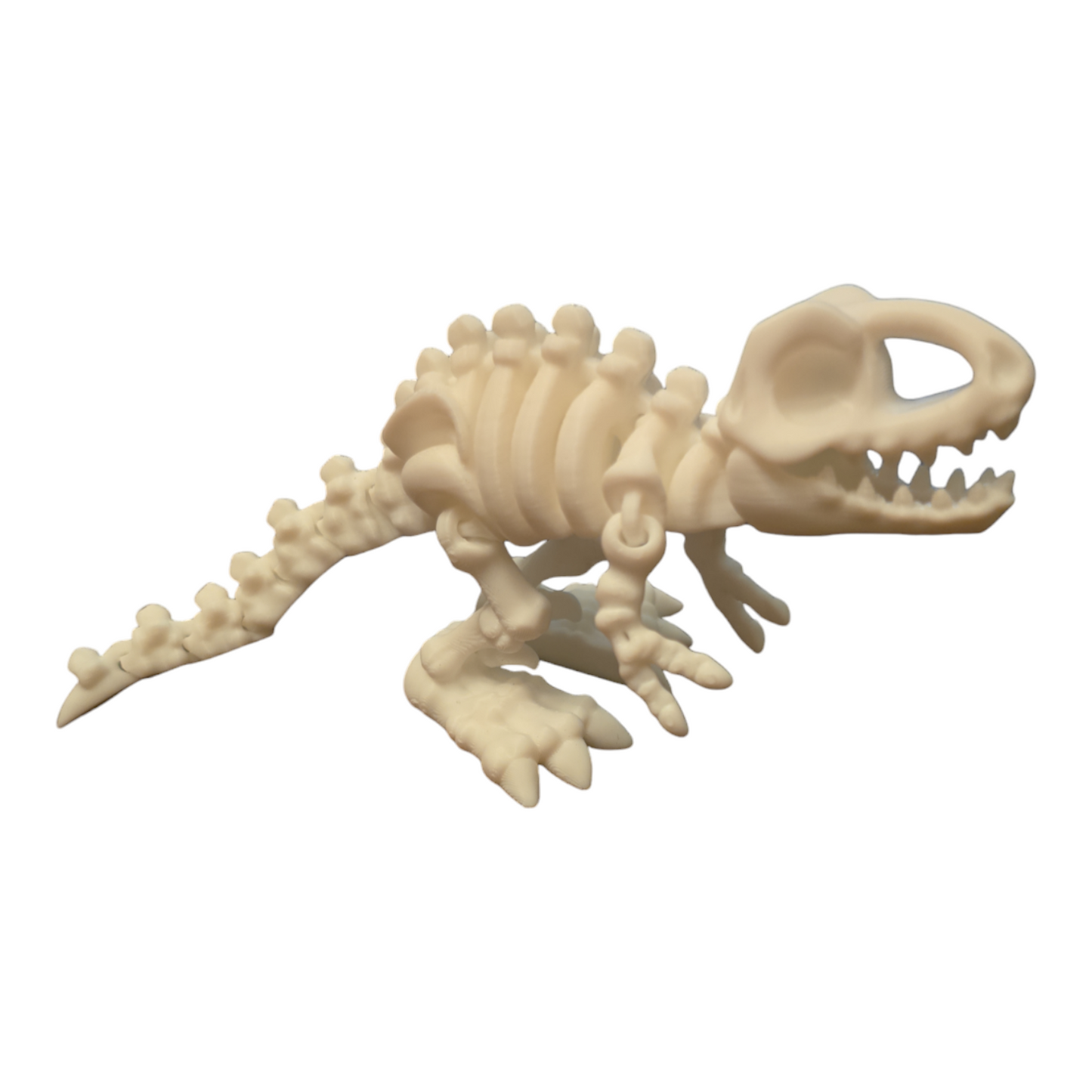 T-Rex Skeleton