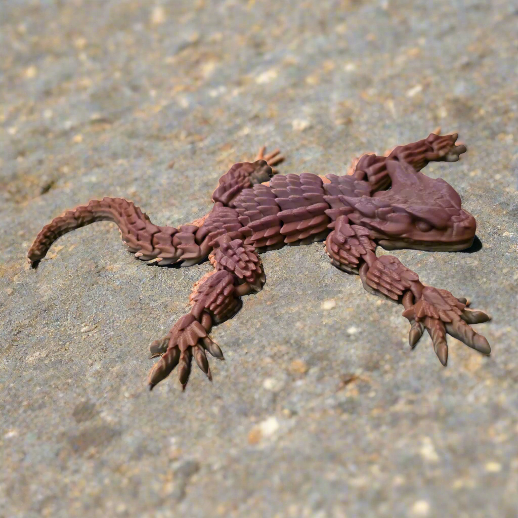 Armadillo Lizard