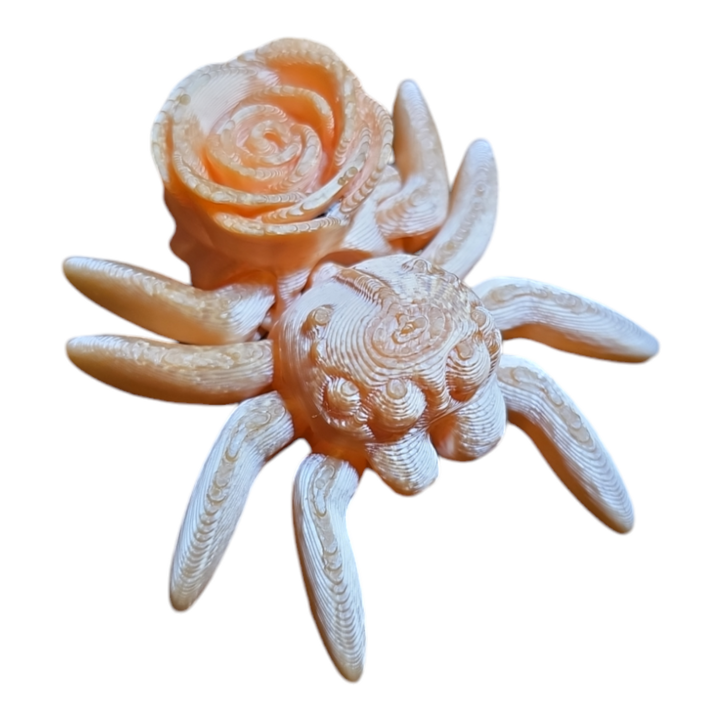 Rose Spider Fidget Toy