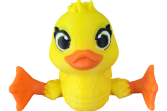 Duck