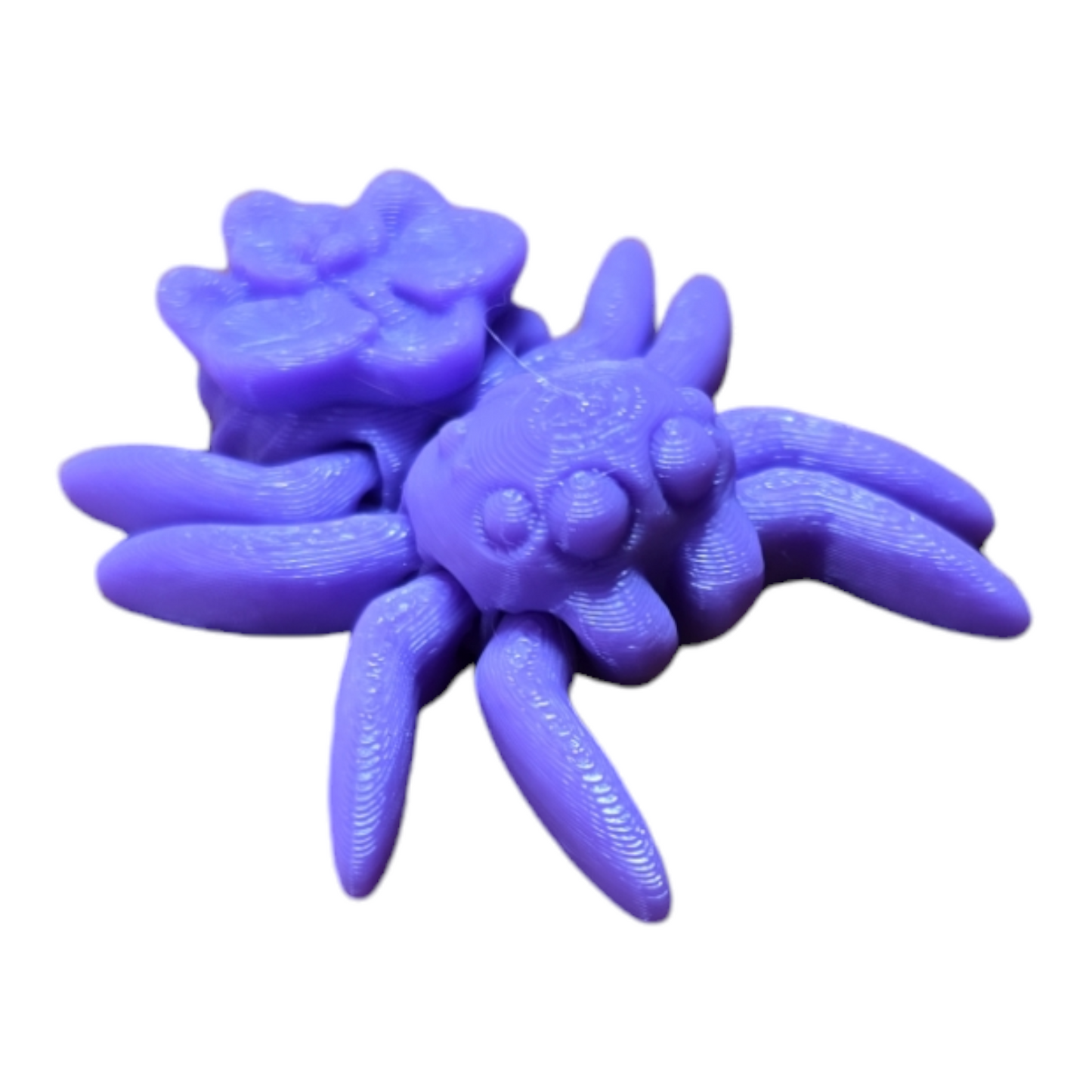 Orchid Spider Fidget Toy