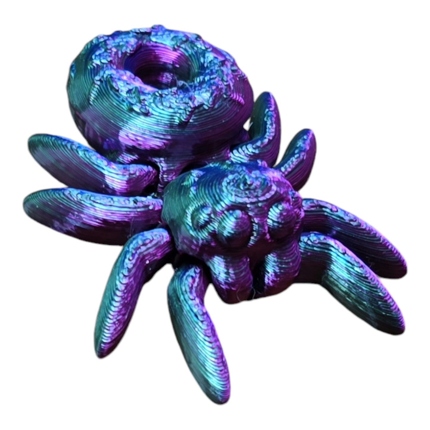 Donut Spider Fidget Toy