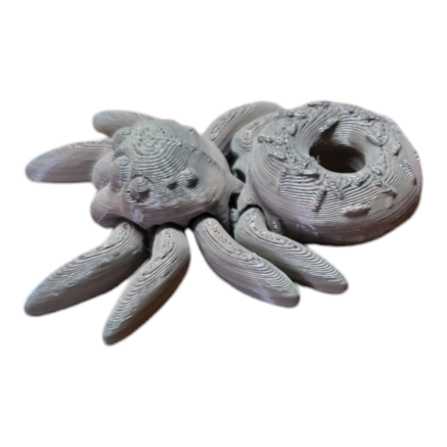 Donut Spider Fidget Toy