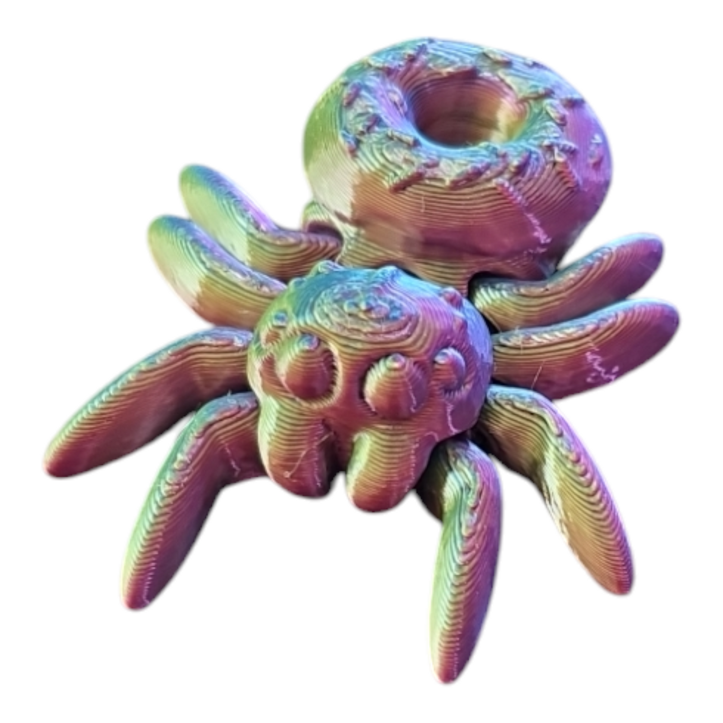 Donut Spider Fidget Toy