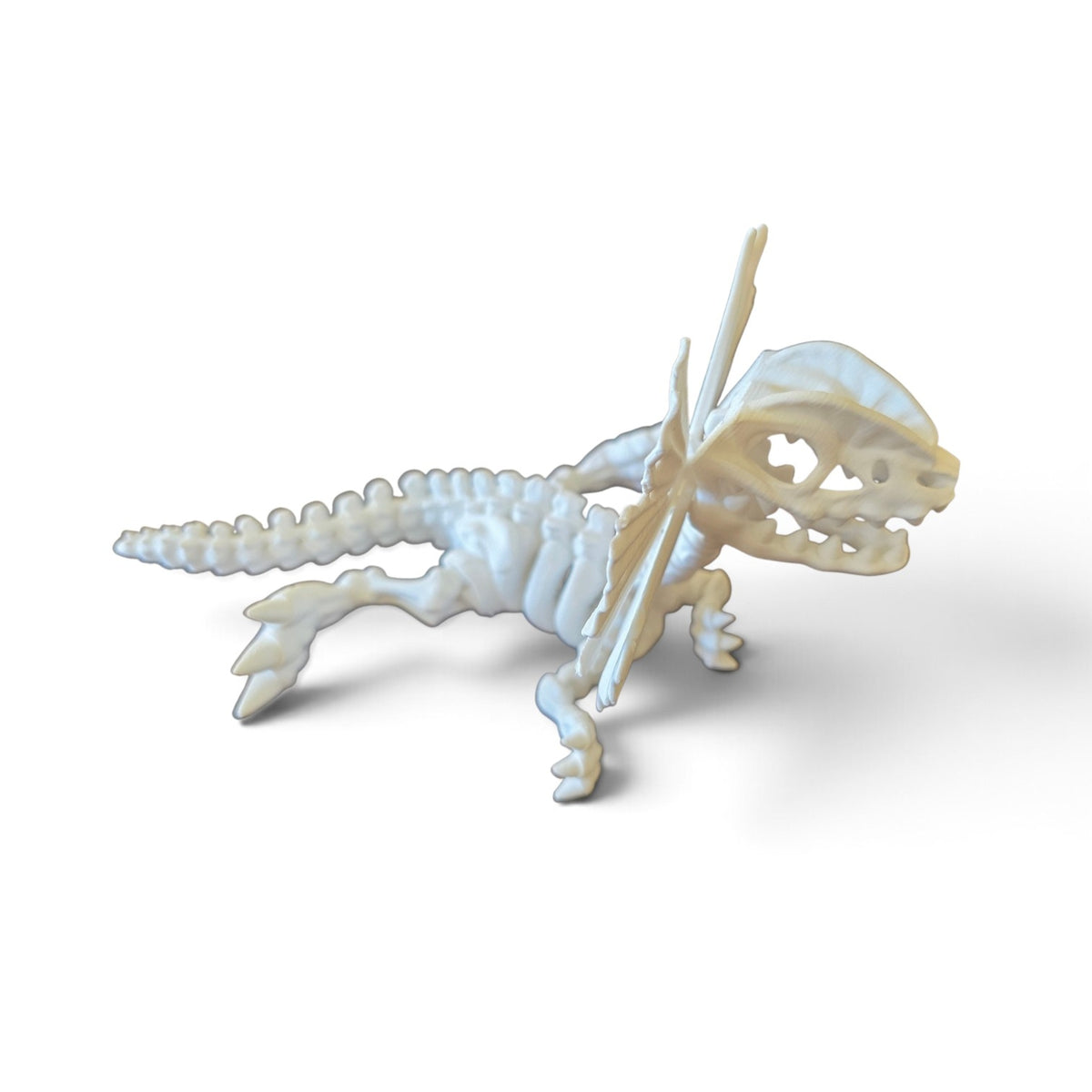 Dilophosaurus Skeleton 3D Printed Model