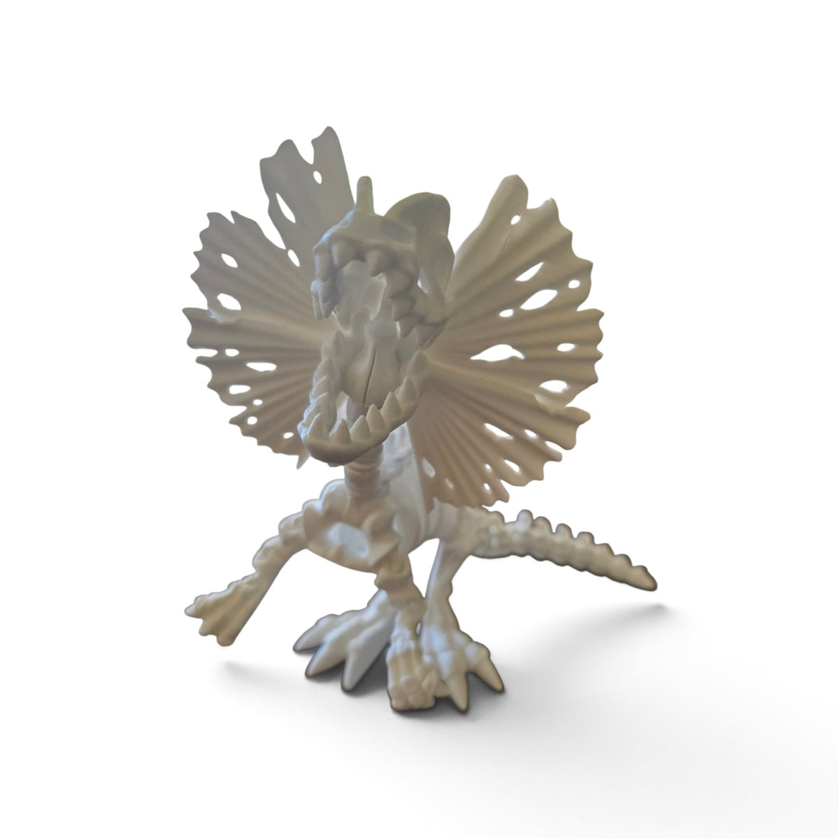 Dilophosaurus Skeleton 3D Printed Model